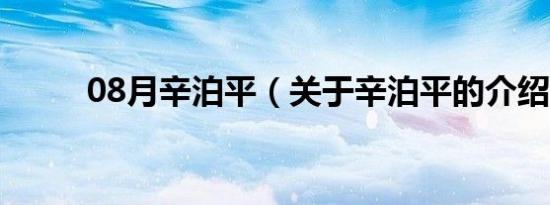 08月辛泊平（关于辛泊平的介绍）