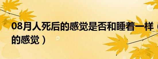 08月人死后的感觉是否和睡着一样（人死后的感觉）