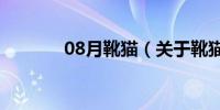 08月靴猫（关于靴猫的介绍）