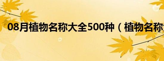 08月植物名称大全500种（植物名称大全）