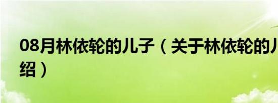 08月林依轮的儿子（关于林依轮的儿子的介绍）