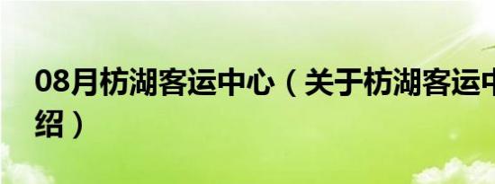 08月枋湖客运中心（关于枋湖客运中心的介绍）