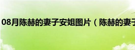 08月陈赫的妻子安姐图片（陈赫的妻子是谁）