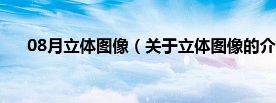 08月立体图像（关于立体图像的介绍）