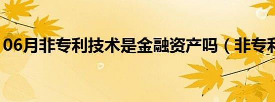 06月非专利技术是金融资产吗（非专利技术）