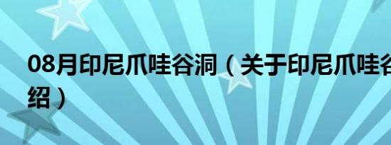 08月印尼爪哇谷洞（关于印尼爪哇谷洞的介绍）