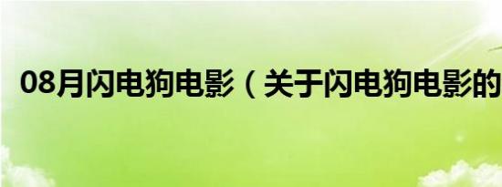 08月闪电狗电影（关于闪电狗电影的介绍）