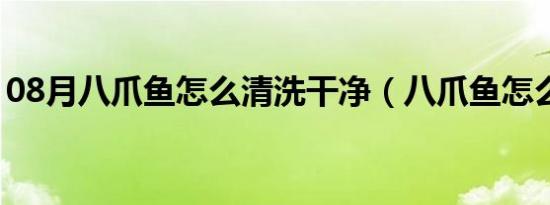 08月八爪鱼怎么清洗干净（八爪鱼怎么清洗）