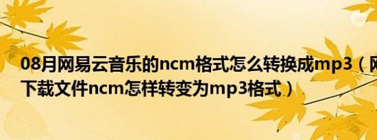 08月网易云音乐的ncm格式怎么转换成mp3（网易云音乐下载文件ncm怎样转变为mp3格式）