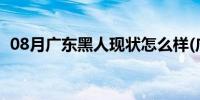 08月广东黑人现状怎么样(广东黑人的危害)