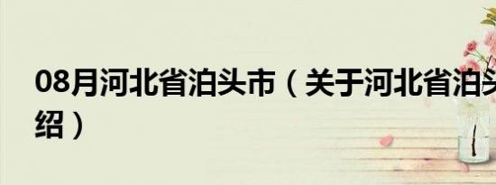 08月河北省泊头市（关于河北省泊头市的介绍）