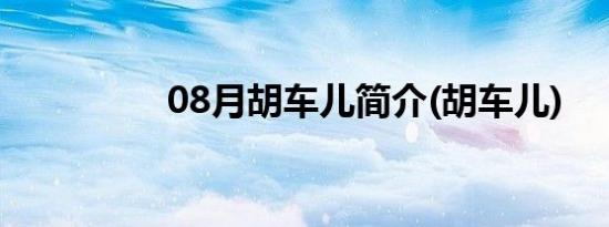 08月胡车儿简介(胡车儿)