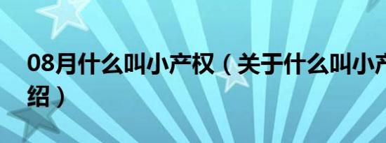 08月什么叫小产权（关于什么叫小产权的介绍）