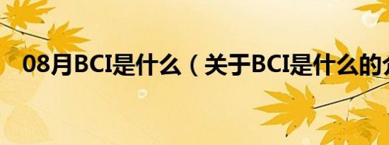 08月BCI是什么（关于BCI是什么的介绍）