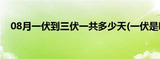 08月一伏到三伏一共多少天(一伏是哪天)