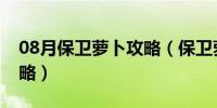 08月保卫萝卜攻略（保卫萝卜挑战34通关攻略）