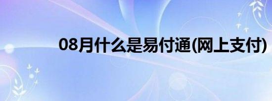 08月什么是易付通(网上支付)