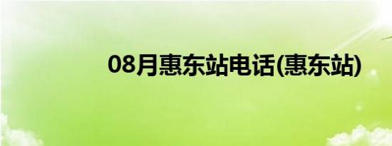 08月惠东站电话(惠东站)