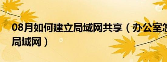 08月如何建立局域网共享（办公室怎样建立局域网）