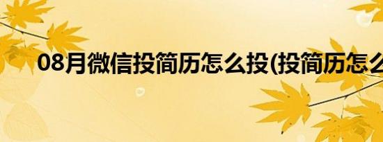 08月微信投简历怎么投(投简历怎么投)