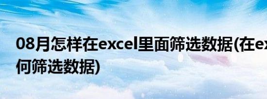 08月怎样在excel里面筛选数据(在excel中如何筛选数据)