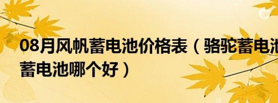 08月风帆蓄电池价格表（骆驼蓄电池和风帆蓄电池哪个好）
