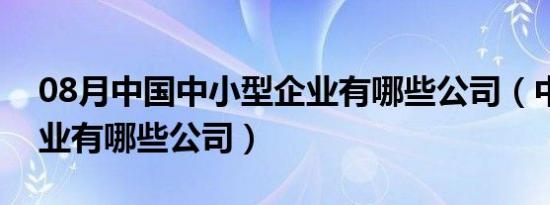 08月中国中小型企业有哪些公司（中小型企业有哪些公司）