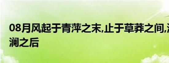 08月风起于青萍之末,止于草莽之间,浪成于微澜之后