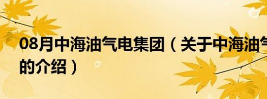 08月中海油气电集团（关于中海油气电集团的介绍）