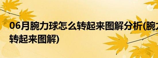 06月腕力球怎么转起来图解分析(腕力球怎么转起来图解)