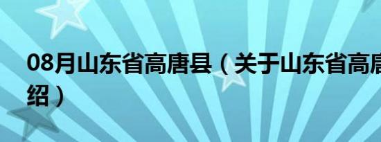 08月山东省高唐县（关于山东省高唐县的介绍）