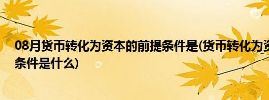 08月货币转化为资本的前提条件是(货币转化为资本的前提条件是什么)