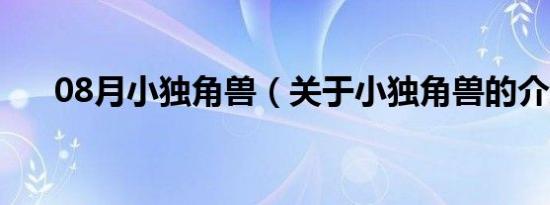 08月小独角兽（关于小独角兽的介绍）