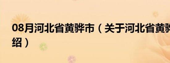 08月河北省黄骅市（关于河北省黄骅市的介绍）