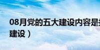 08月党的五大建设内容是指什么（党的五大建设）