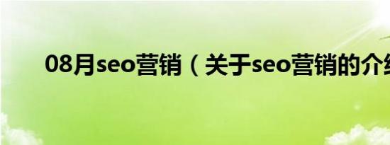 08月seo营销（关于seo营销的介绍）