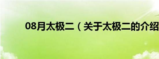 08月太极二（关于太极二的介绍）