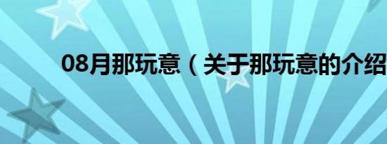 08月那玩意（关于那玩意的介绍）