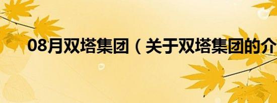 08月双塔集团（关于双塔集团的介绍）