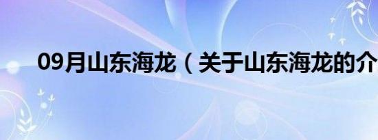 09月山东海龙（关于山东海龙的介绍）