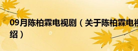 09月陈柏霖电视剧（关于陈柏霖电视剧的介绍）