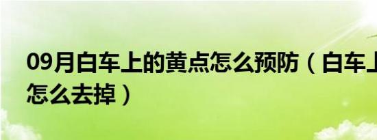 09月白车上的黄点怎么预防（白车上的黄点怎么去掉）