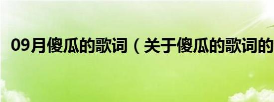 09月傻瓜的歌词（关于傻瓜的歌词的介绍）