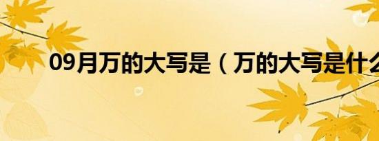 09月万的大写是（万的大写是什么）