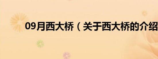 09月西大桥（关于西大桥的介绍）