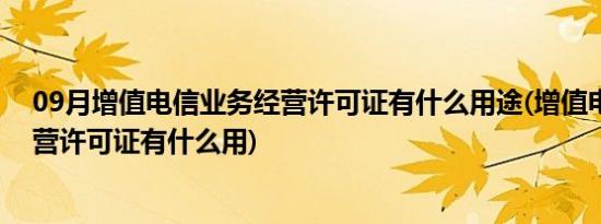 09月增值电信业务经营许可证有什么用途(增值电信业务经营许可证有什么用)