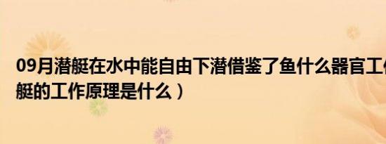 09月潜艇在水中能自由下潜借鉴了鱼什么器官工作原理（潜艇的工作原理是什么）