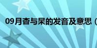 09月杳与杲的发音及意思（杲是什么意思）