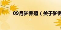 09月驴养殖（关于驴养殖的介绍）