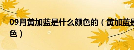 09月黄加蓝是什么颜色的（黄加蓝是什么颜色）